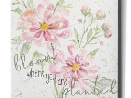 Bloom Where You are Planted  by Cindy Jacobs, Canvas Wall Art Discount