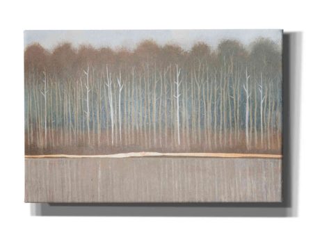 Along the River Bank II  by Tim O Toole, Canvas Wall Art on Sale