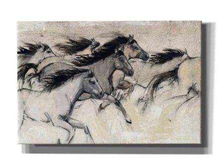 Horses in Motion I  by Tim O Toole, Canvas Wall Art Online Hot Sale