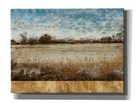 Infinite Pasture  by Tim O Toole, Canvas Wall Art For Discount