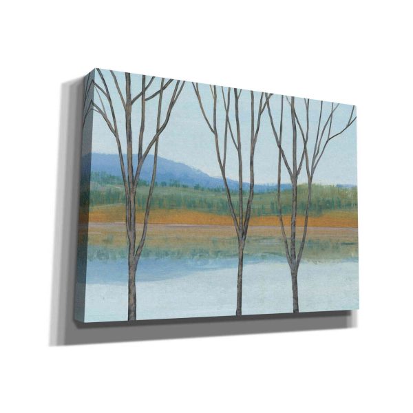 Between Water IV  by Tim O Toole, Canvas Wall Art on Sale