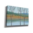 Between Water III  by Tim O Toole, Canvas Wall Art For Discount