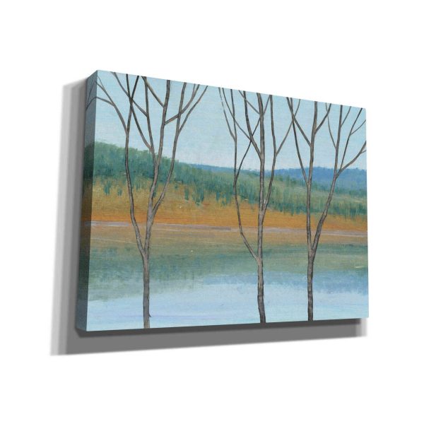 Between Water III  by Tim O Toole, Canvas Wall Art For Discount