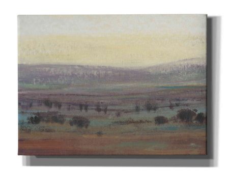 Fast Fading Light II  by Tim O Toole, Canvas Wall Art Cheap