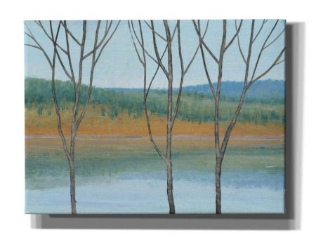 Between Water III  by Tim O Toole, Canvas Wall Art For Discount