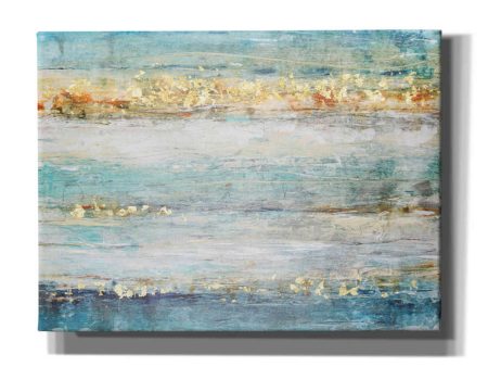 Accent I  by Tim O Toole, Canvas Wall Art Discount