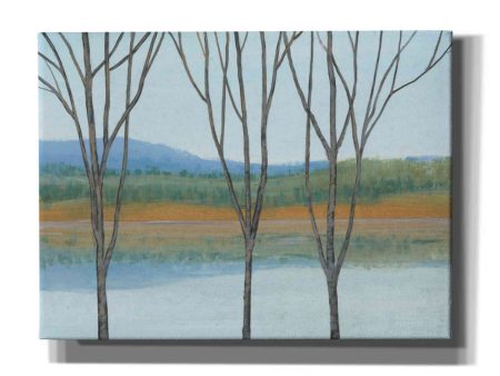 Between Water IV  by Tim O Toole, Canvas Wall Art on Sale