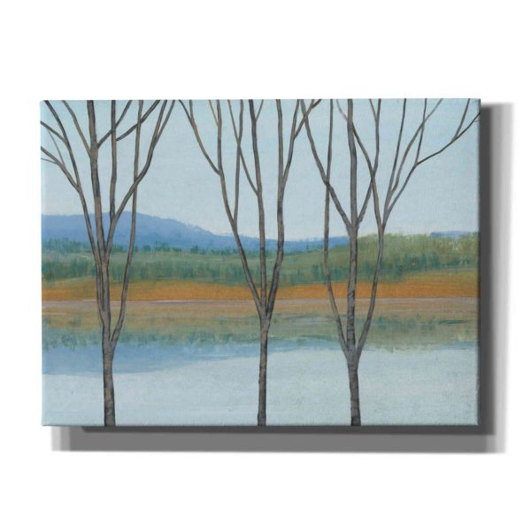 Between Water IV  by Tim O Toole, Canvas Wall Art on Sale