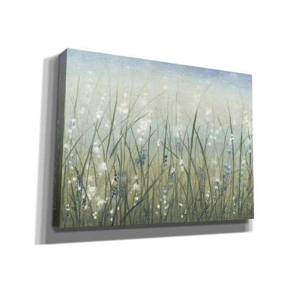 Bliss I  by Tim O Toole, Canvas Wall Art Sale