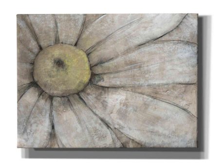 Close-Up Daisy I  by Tim O Toole, Canvas Wall Art Fashion