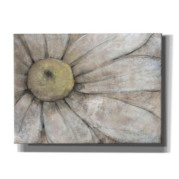 Close-Up Daisy I  by Tim O Toole, Canvas Wall Art Fashion