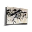 Horses in Motion I  by Tim O Toole, Canvas Wall Art Online Hot Sale