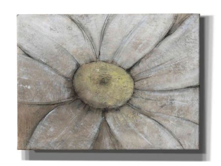 Close-Up Daisy II  by Tim O Toole, Canvas Wall Art Online