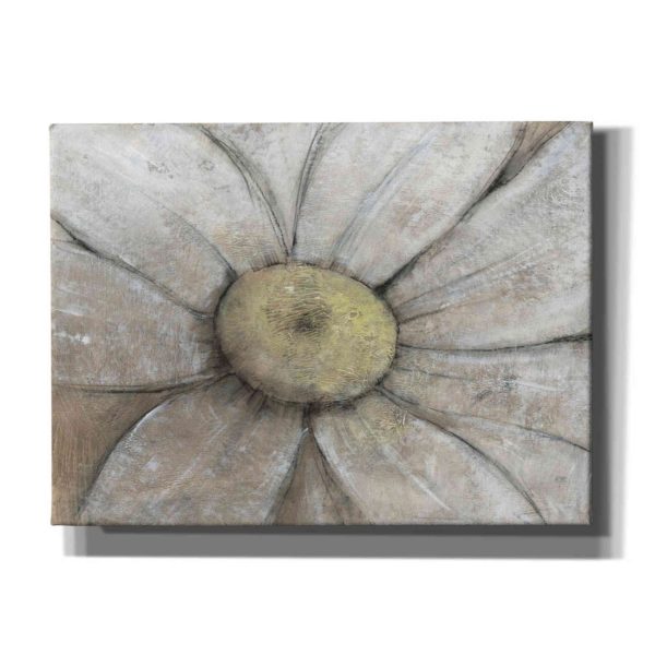 Close-Up Daisy II  by Tim O Toole, Canvas Wall Art Online