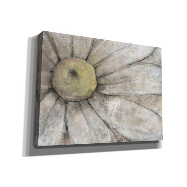 Close-Up Daisy I  by Tim O Toole, Canvas Wall Art Fashion