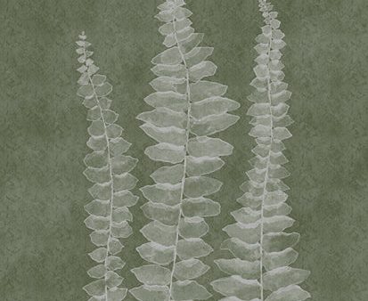 ALP2462 - Woodland Ferns I - 12x16 For Discount