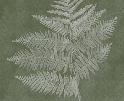 ALP2464 - Woodland Ferns III - 12x16 For Sale