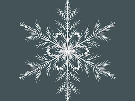 FEN1125 - Blue Christmas Snowflake I - 12x12 Fashion