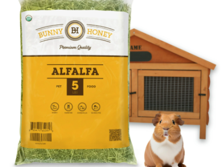 5 Lbs Fresh Alfalfa Hay by Bunny Honey - USDA Organic Natural Hay for Guinea Pigs, Rabbits, Hamsters, Hedgehogs, and More Small Se Discount