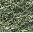 5 Lbs Fresh Alfalfa Hay by Bunny Honey - USDA Organic Natural Hay for Guinea Pigs, Rabbits, Hamsters, Hedgehogs, and More Small Se Discount