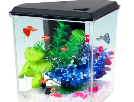 Aqua Culture Plastic 1 Gallon Aquarium with Accessories, Black, 10.1  L x 6.76  W x 8.12  H For Discount