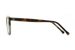 Hamlin | Matte Tortoise Fade Sun Online Hot Sale